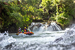 Image of KAITUNA CASCADES - Rotorua