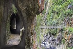 Image of KARANGAHAKE WINDOWS WALK - Tauranga