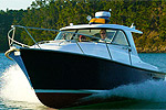 A Kawau Water Taxi