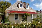 Image of NAIRN STREET COTTAGE - Wellington