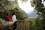 Visit Website of MILFORD SOUND LOOKOUT TRACK - Milford Sound Image of MILFORD SOUND LOOKOUT TRACK - Milford Sound