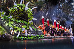 Experience Maori culture at Mitai Maori Village