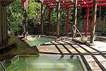 Visit Website of Morere Hot Springs - Off the beaten track Image of Morere Hot Springs - Off the beaten track