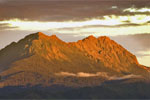 Visit Website of Mount Hikurangi - Off the beaten track Image of Mount Hikurangi - Off the beaten track