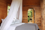 Image of CANOPY CAMPING ESCAPES - The Hexagon - West Coast