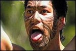 Visit Website of NEW ZEALAND ON DVD Image of NEW ZEALAND ON DVD