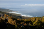 Image of RAKIURA NATIONAL PARK - Stewart Island (Stewart Island)