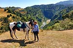 Image of RIVER VALLEY STABLES - Taihape, Rangitikei, Central North Island