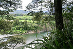 Image for RIVERSLEA RETREAT - Otaki