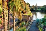 Image of AUCKLAND BOTANIC GARDENS - South Auckland