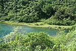 Image of OLD MAORI TRAIL - Hawkes Bay