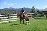 Image of KEPLER OAKS CHALET -  Te Anau