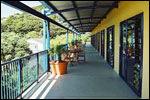 Saltwater Lodge Backpackers accommodation in Paihia