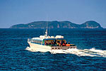 Image of STEWART ISLAND EXPERIENCE - Ferry Services