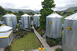View more images of SILOSTAY - Little River The Silos at SiloStay accommodation in Little River