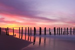 Image of ST CLAIR BEACH - Dunedin