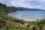 Image of Stewart Island - Off the beaten track