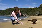 Image of STEWART ISLAND EXPERIENCE - Paterson Inlet Cruises