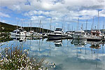 Image for TALK OF THE TOWN - Wellington