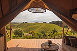 Image of CANOPY CAMPING ESCAPES - Ridge Top Farm - Manawatu