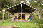 Image of CANOPY CAMPING ESCAPES - Te Rata - Rotorua