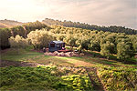 Image for CANOPY CAMPING ESCAPES -The Green Rabbit