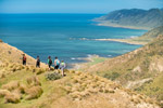 Walking on the Tora Coastal Walk in Wairarapa