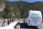 Image of EXPERIENCE UNIQUE HOLIDAY TOURS - New Zealand