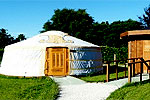 Visit Website of WACKY STAYS - Kaikoura Image of WACKY STAYS - Kaikoura