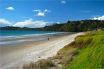 Visit Website of WAIHEKE LOCAL - Waiheke Island Image of WAIHEKE LOCAL - Waiheke Island