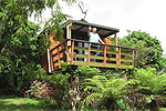Image of WAIRORO PARK - Bay of Islands