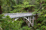 Image of WHANGANUI NATIONAL PARK - Wanganui (North Island)