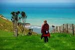 Image of WHITE CLIFFS TRACK WALKWAY - North Taranaki