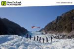 - Regions of NZ - Fox Glacer
