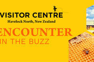Image for event: Bee Encounter