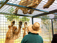 Orana Wildlife Park