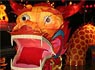 Chinese New Year Festivals, Auckland and Christchurch, New Zealand