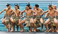 Copyright Daisy Day. Kawhia Traditional Māori Kai Festival. New Zealand Food Festival, Māori Food Festival.