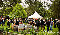 Copyright: New Zealand Tourism Guide. Marlborough Wine and Cuisine, New Zealand