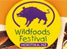 Hokitika Wildfoods Festival