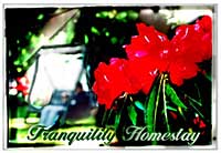 Tranquility Homestay, Upper Hutt Accommodation