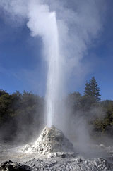 A geyser in action in Rotorua