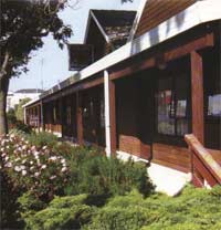 Carisbrook Motel Exterior