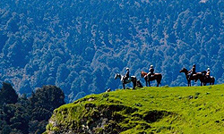 River Valley horseback riding