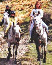 Riding Horses  with Horse Treks Wanaka