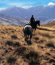 See amazing scenery on your horse trek