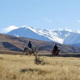 Horse trek in the New Zealand back country