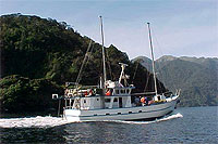 Fiordland Boat Charters