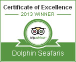 Dolphin Seafaris Certificate of Excellence