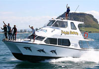 Boats built specifically for Dolphin Tours